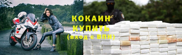винт Богданович