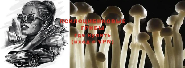 винт Богданович