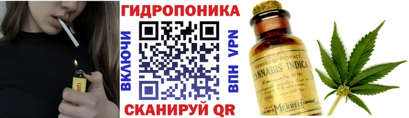 дарк нет телеграм  Новотитаровская  Шишки марихуана ГИДРОПОН  где купить наркоту 